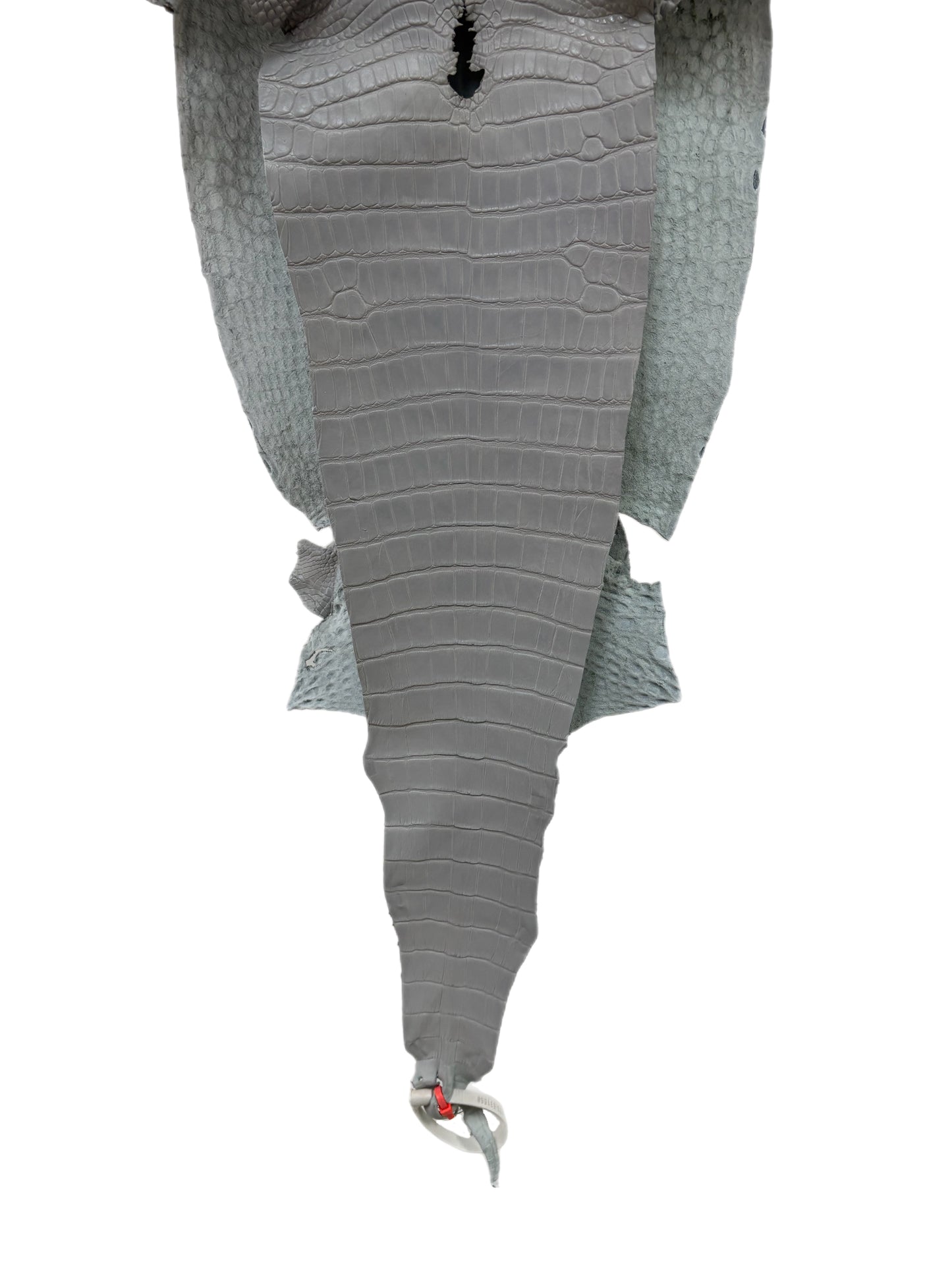 32 cm Grade 1/2 Glacier Matte Farm-Raised American Alligator Leather - Tag: LA23-0531558
