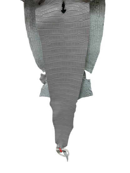 32 cm Grade 1/2 Glacier Matte Farm-Raised American Alligator Leather - Tag: LA23-0531558