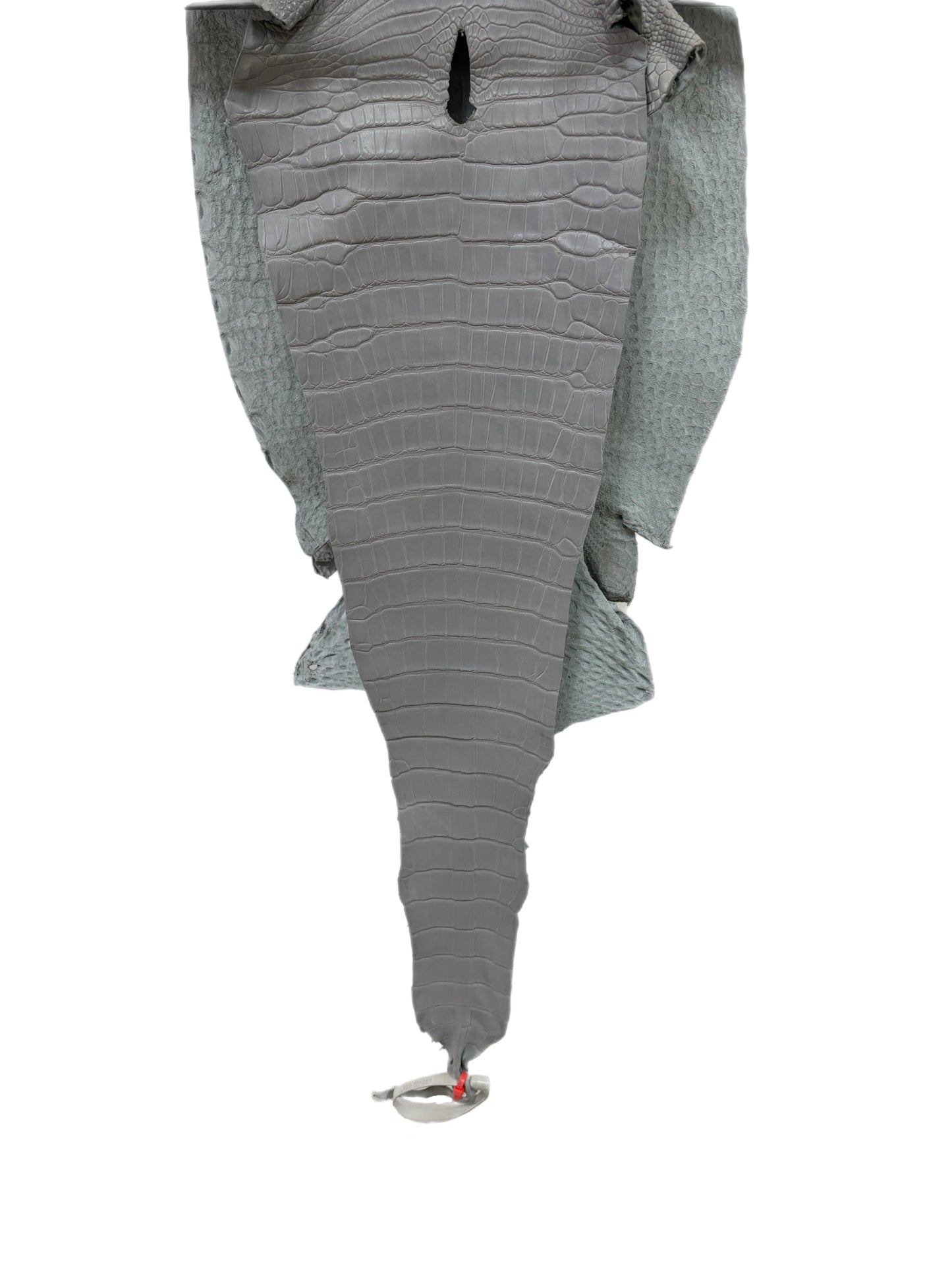 34 cm Grade 1/2 Glacier Matte Farm-Raised American Alligator Leather - Tag: LA23-0531057