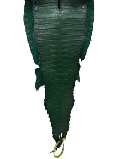22 cm Grade 3/4 Forest Green Matte Farm Raised American Alligator Leather - Tag: FL22-0030047