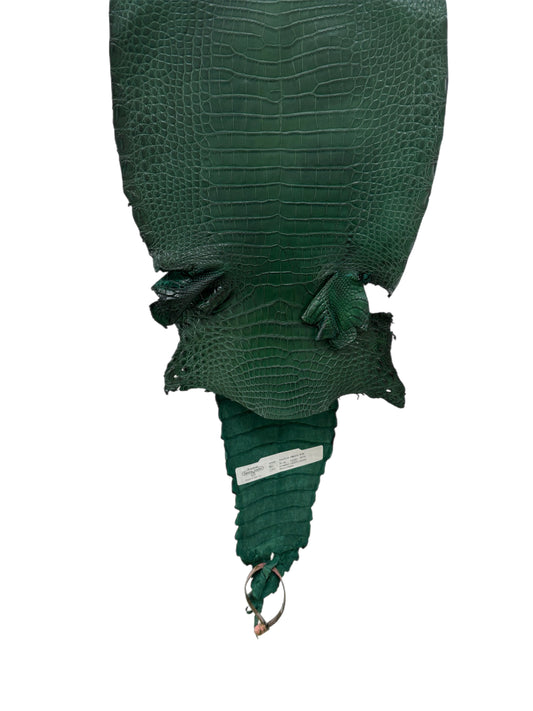 26 cm Grade 3/4 Forest Green Matte Farm Raised American Alligator Leather - Tag: FL21-0024626