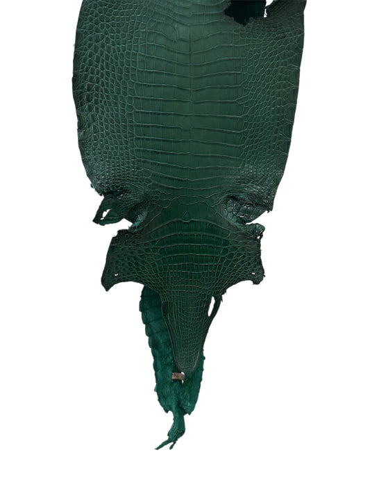 21 cm Grade 4/5 Forest Green Matte Farm Raised American Alligator Leather - Tag: FL21-0024722