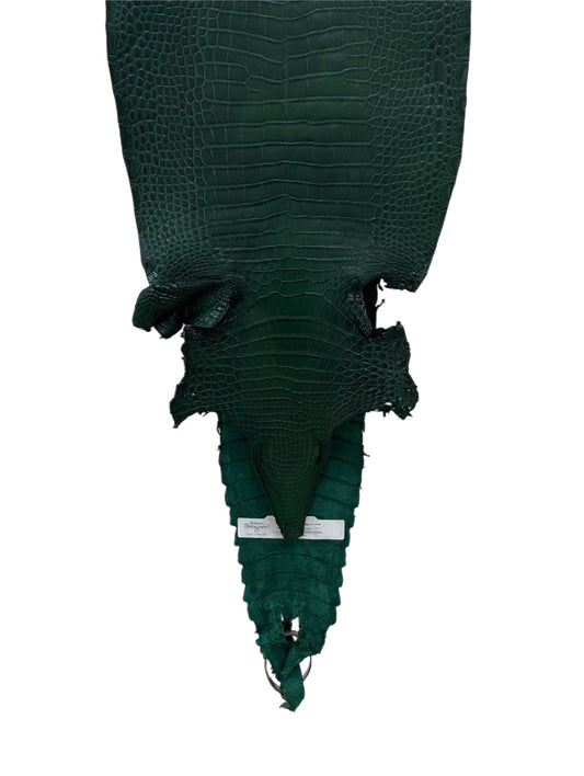 26 cm Grade 3/4 Forest Green Matte Farm Raised American Alligator Leather - Tag: FL21-0024731