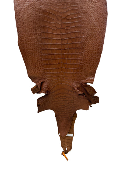 45 cm Grade 4/5  Cigar Matte Wild American Alligator Leather - Tag: LA23-0000766