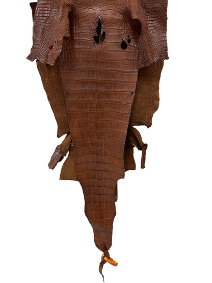 39 cm Grade 3/4  Cigar Matte Wild American Alligator Leather - Tag: LA23-0028596