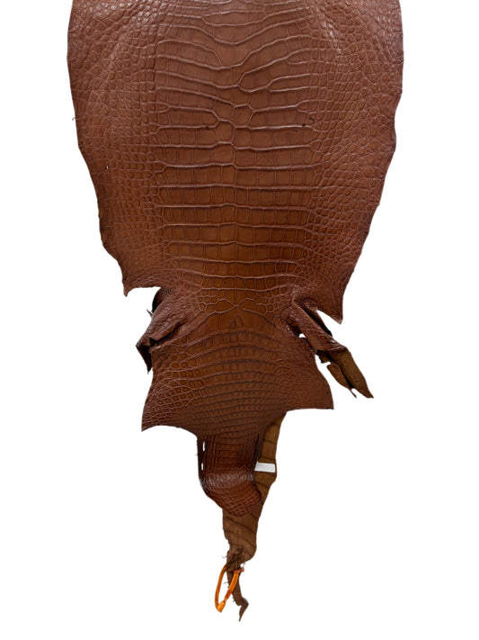 39 cm Grade 3/4  Cigar Matte Wild American Alligator Leather - Tag: LA23-0028596