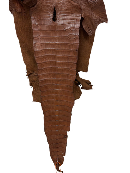 36 cm Grade 2/3  Cigar Matte Wild American Alligator Leather - Tag: LA16-0016672