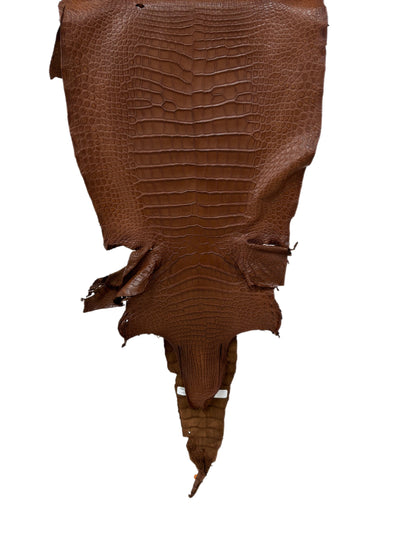 36 cm Grade 2/3  Cigar Matte Wild American Alligator Leather - Tag: LA16-0016672