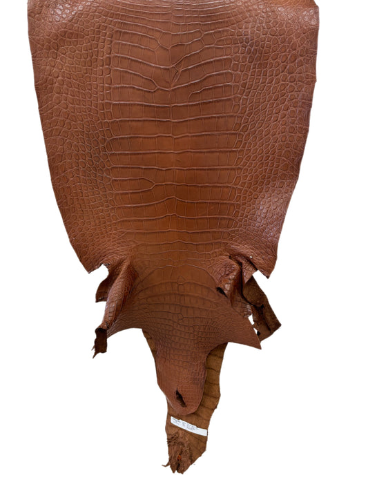 48 cm Grade 3/4  Cigar Matte Wild American Alligator Leather - Tag: LA24-0011363