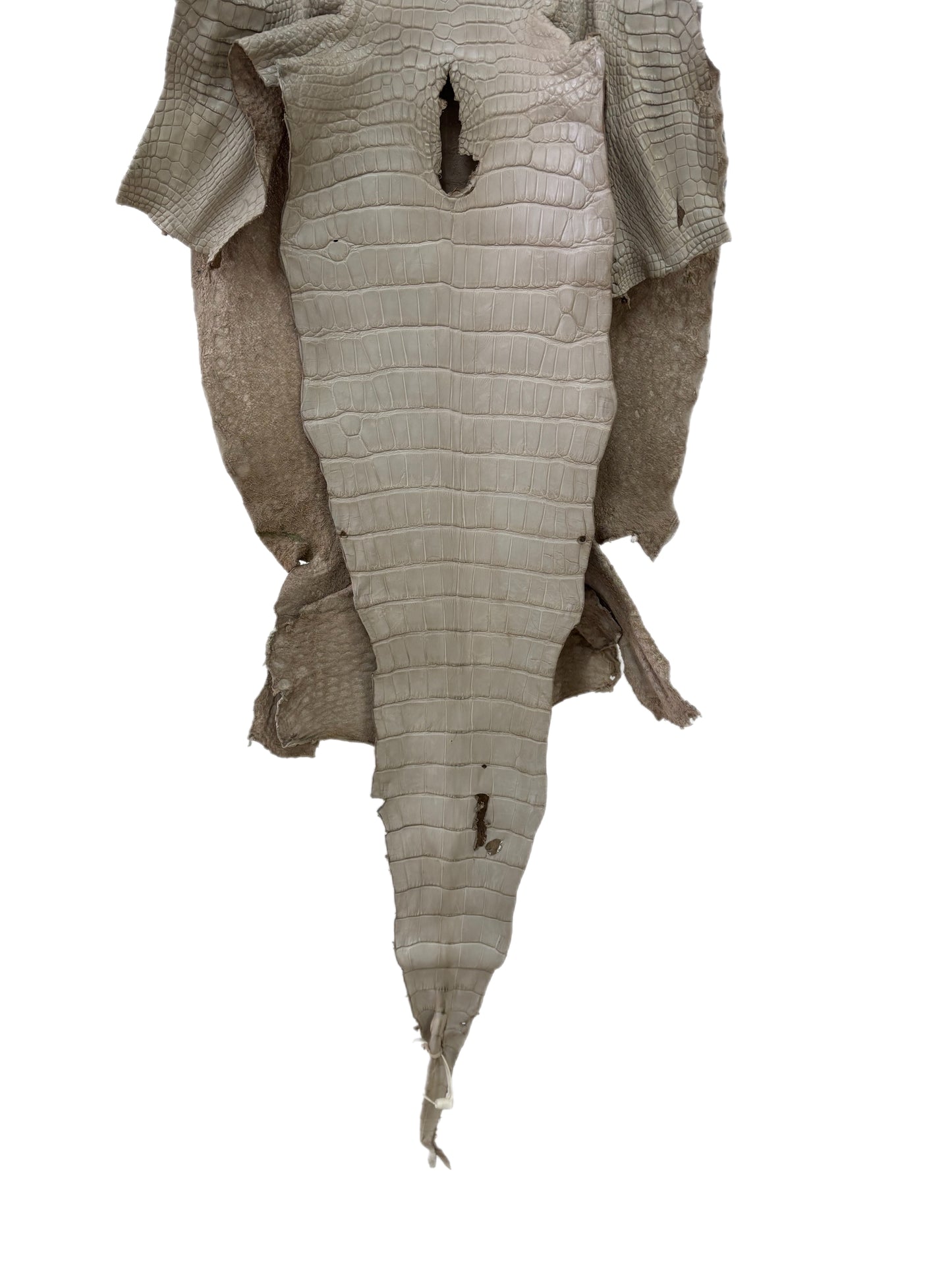 40 cm Grade 2/3 Stormy Matte Wild American Alligator Leather - Tag: LA23-0022726