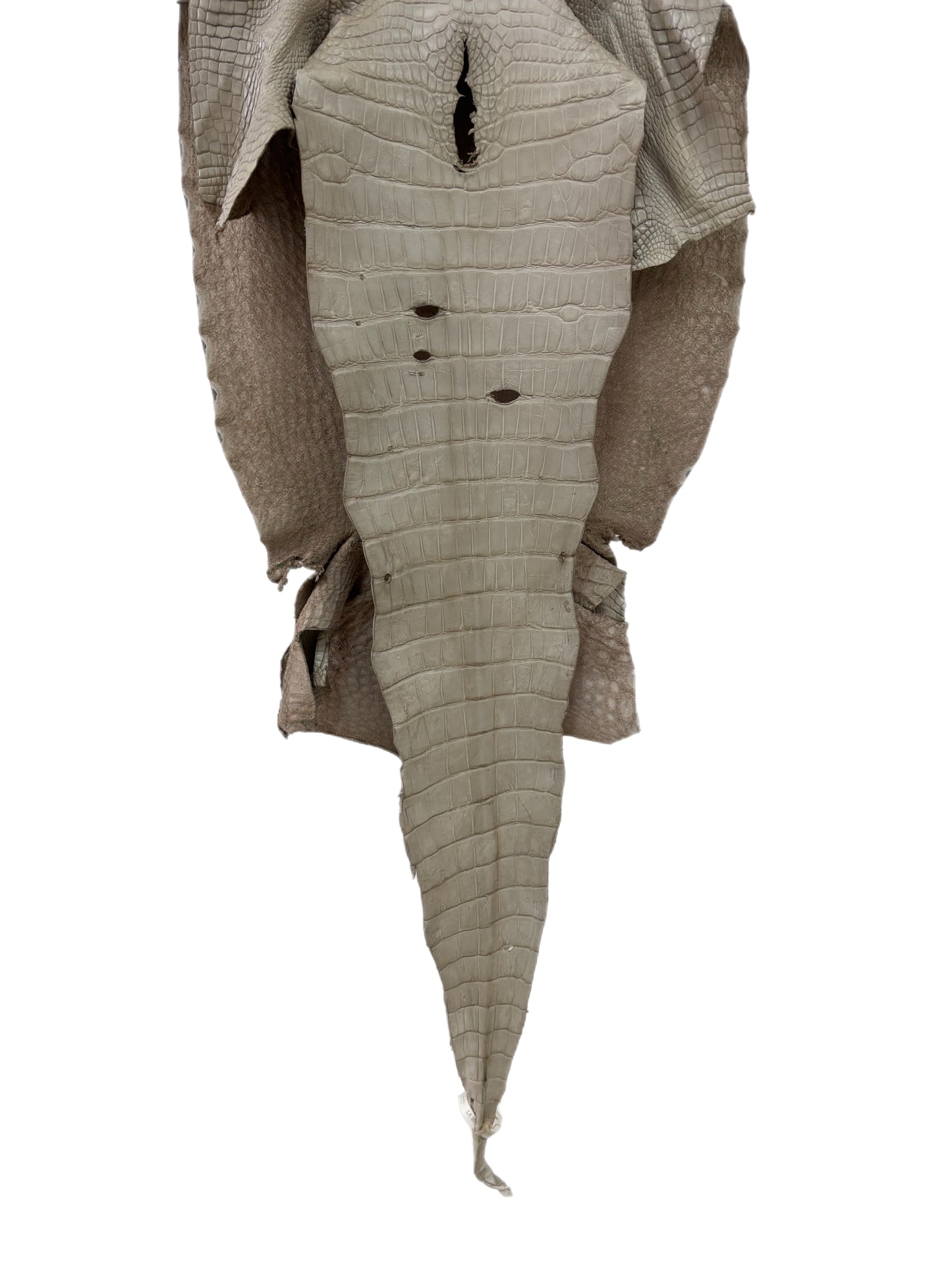 43 cm Grade 4/5 Stormy Matte Wild American Alligator Leather - Tag: LA23-0048526