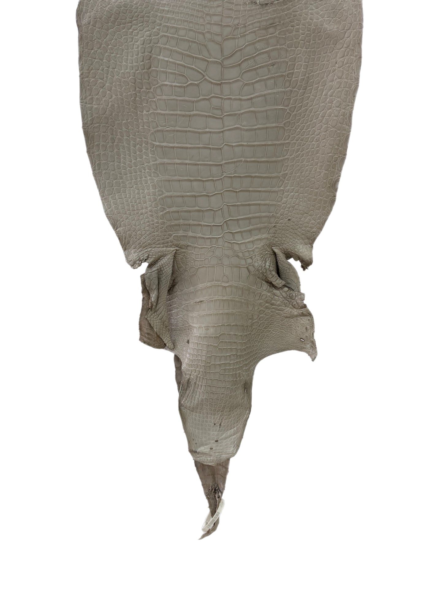 43 cm Grade 4/5 Stormy Matte Wild American Alligator Leather - Tag: LA23-0048526
