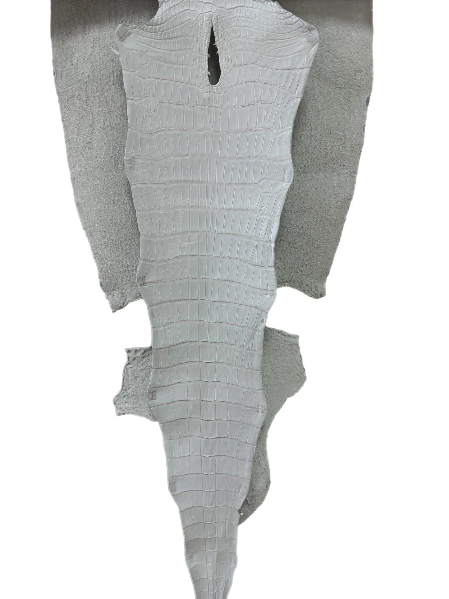 43 cm Grade 2/3 White Matte Wild American Alligator Leather - Tag: LA23-0022125