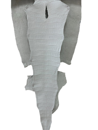 43 cm Grade 2/3 White Matte Wild American Alligator Leather - Tag: LA23-0022125
