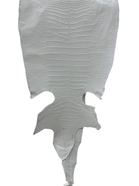 43 cm Grade 2/3 White Matte Wild American Alligator Leather - Tag: LA23-0022125