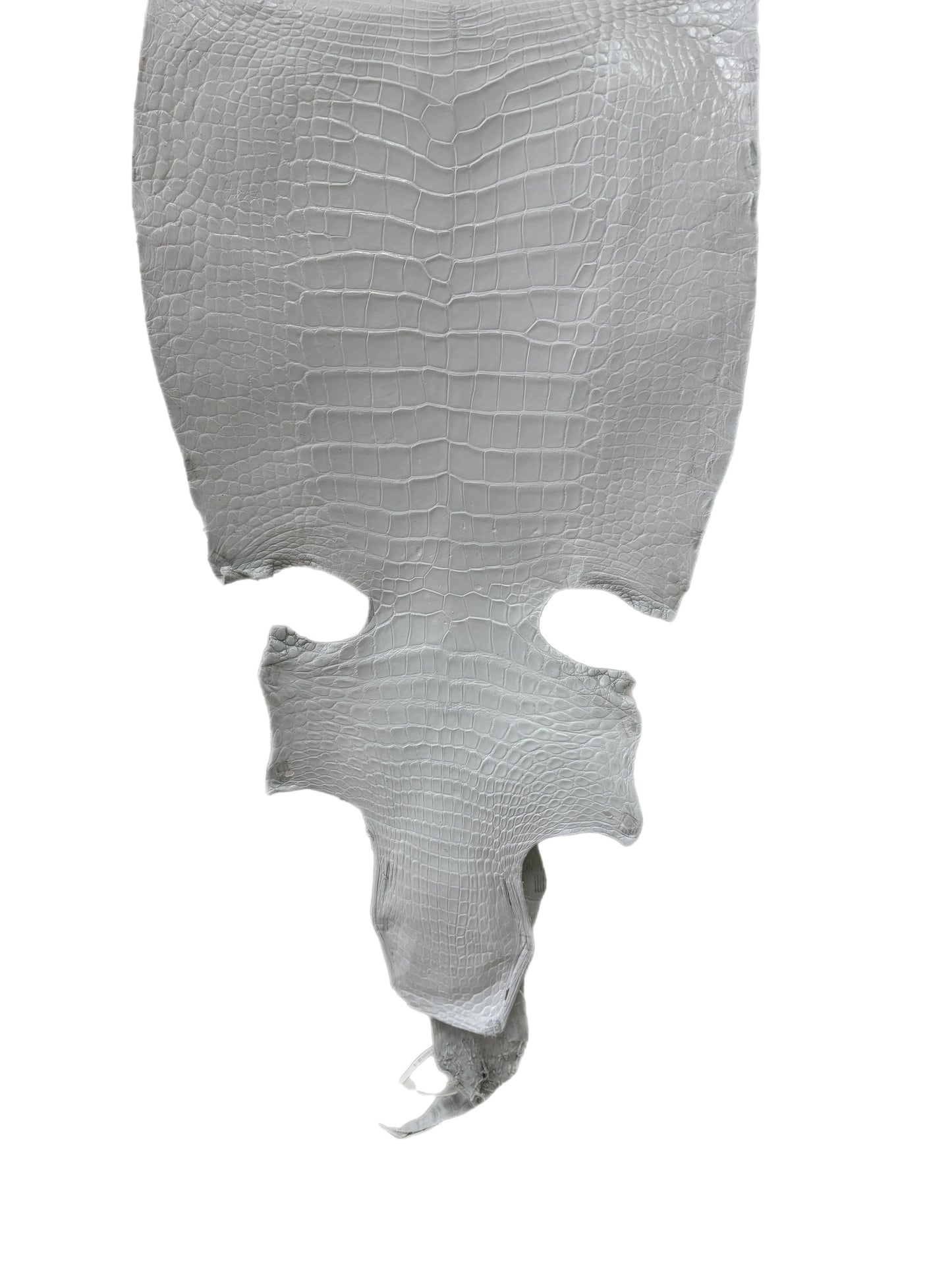 41 cm Grade 2/3 White Matte Wild American Alligator Leather - Tag: LA23-0015499