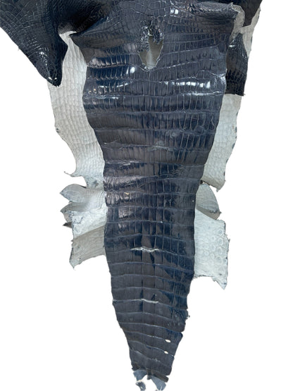 48 cm Grade 4/5 Ocean Blue Glazed Farm-Raised American Alligator Leather - Tag: LA23-0017560