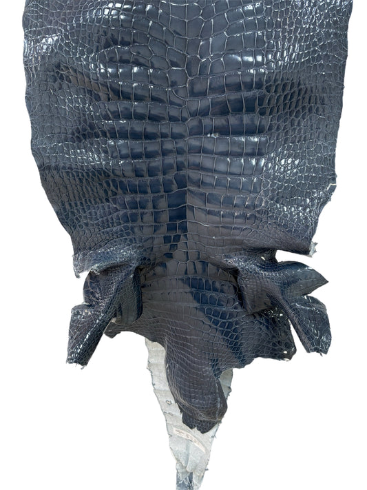 48 cm Grade 4/5 Ocean Blue Glazed Farm-Raised American Alligator Leather - Tag: LA23-0017560