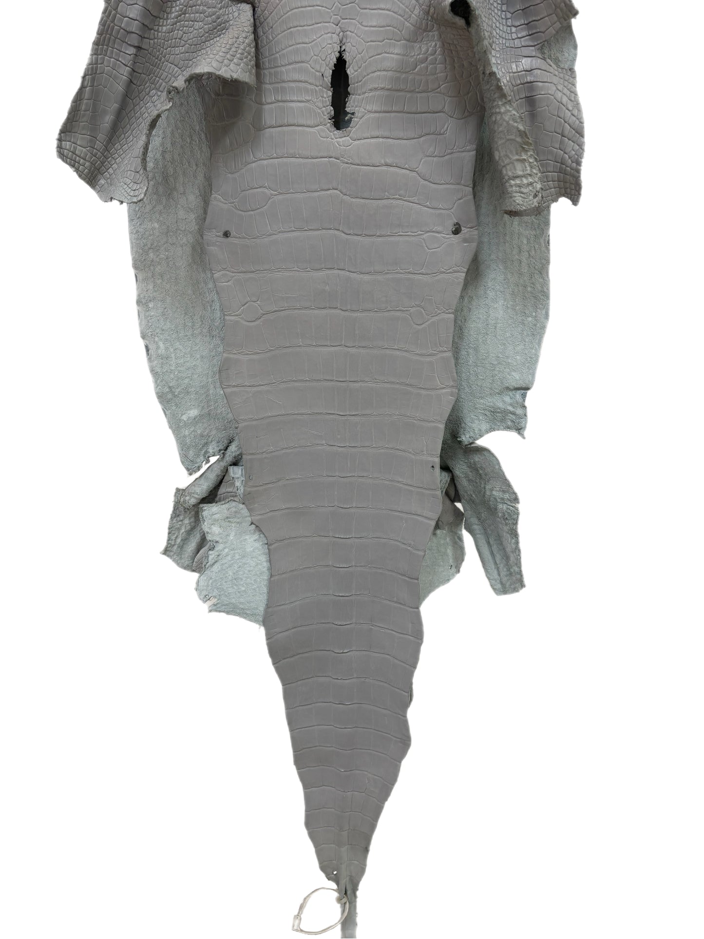 41 cm Grade 2/3 Glacier Matte Wild American Alligator Leather - Tag: LA23-0030516