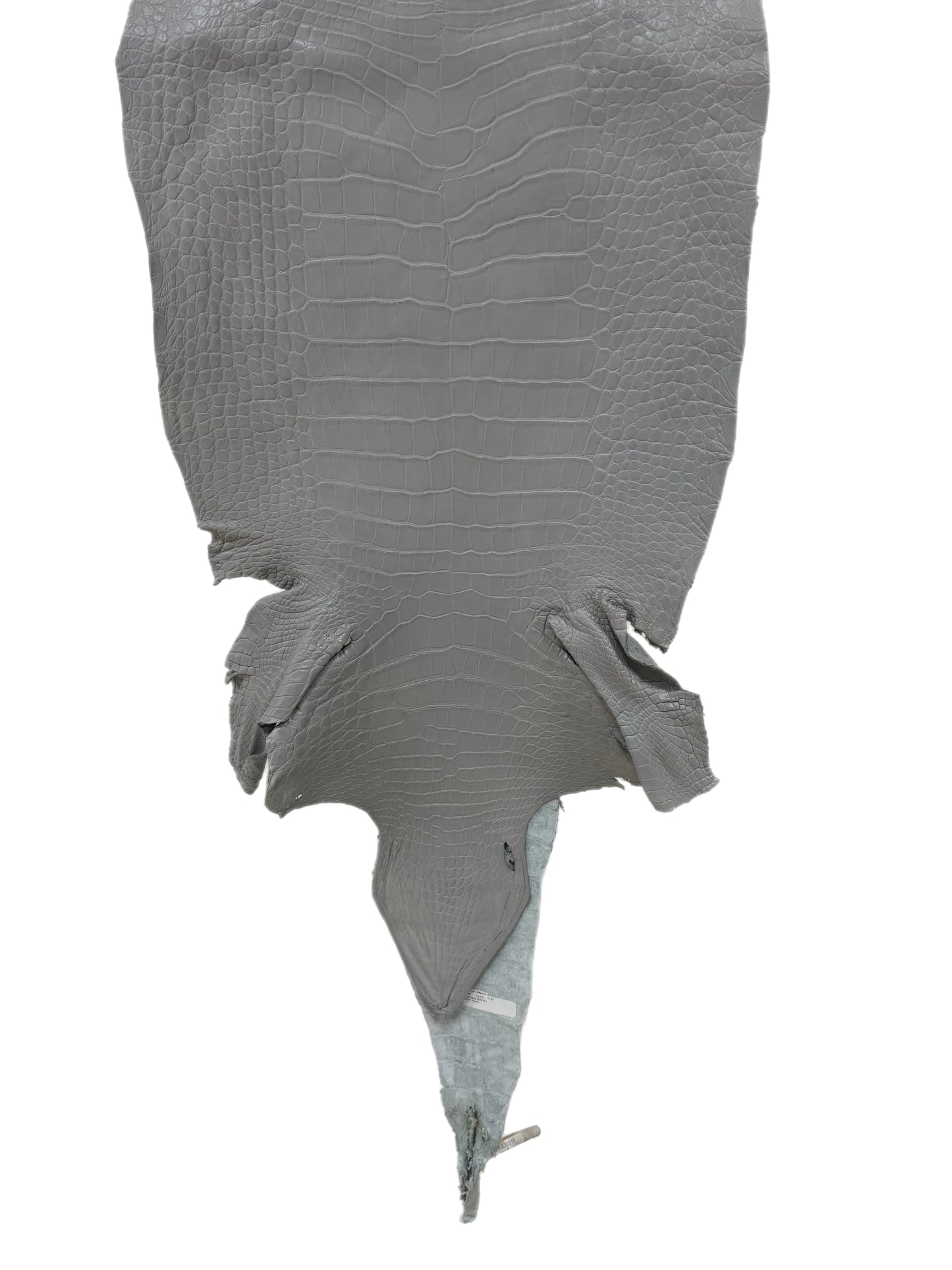 41 cm Grade 2/3 Glacier Matte Wild American Alligator Leather - Tag: LA23-0030516