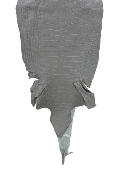 41 cm Grade 2/3 Glacier Matte Wild American Alligator Leather - Tag: LA23-0030516