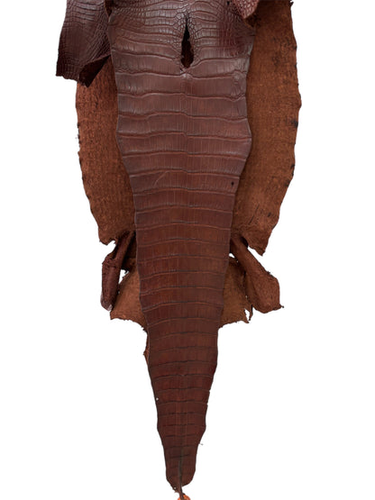 38 cm Grade 3/4 Italian Gold Matte Wild American Alligator Leather - Tag: LA18-0053095