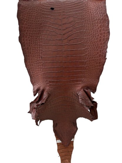 38 cm Grade 3/4 Italian Gold Matte Wild American Alligator Leather - Tag: LA18-0053095