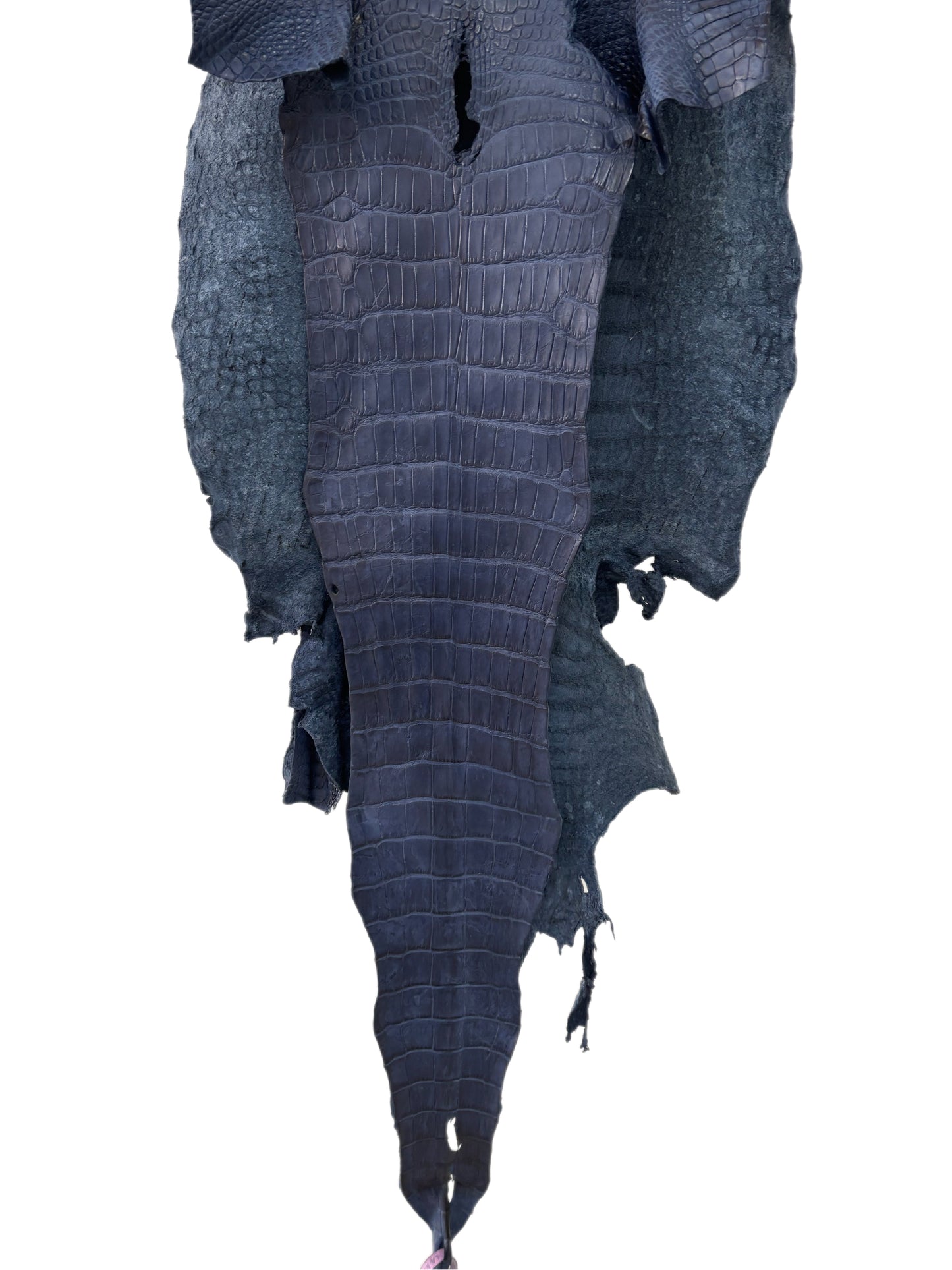 42 cm Grade 3/4 Navy Blue Matte Wild American Alligator Leather - Tag: LA15-0032230