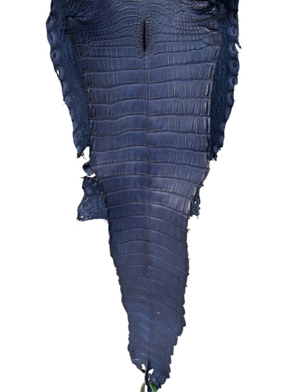 24 cm Grade 4/5 Admiral Blue Matte Farm Raised American Alligator Leather - Tag: FL22-0030270