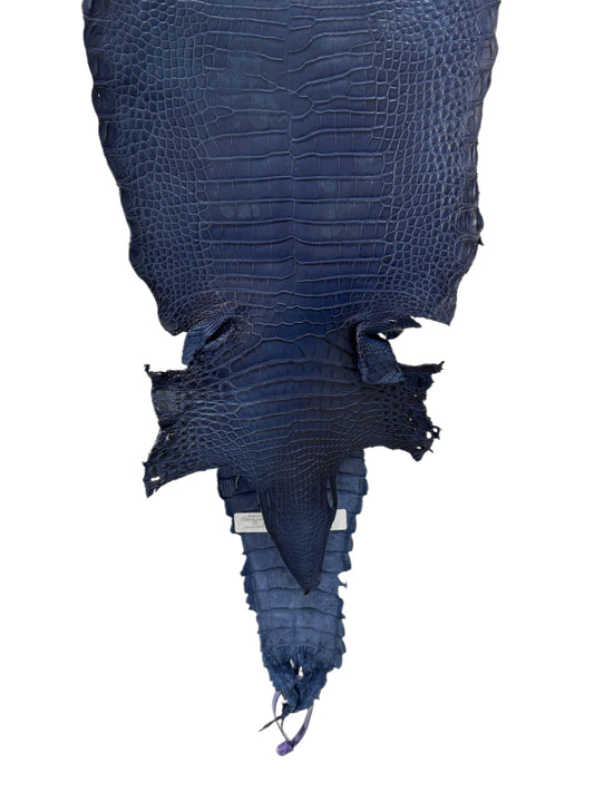 24 cm Grade 4/5 Admiral Blue Matte Farm Raised American Alligator Leather - Tag: FL21-0025018