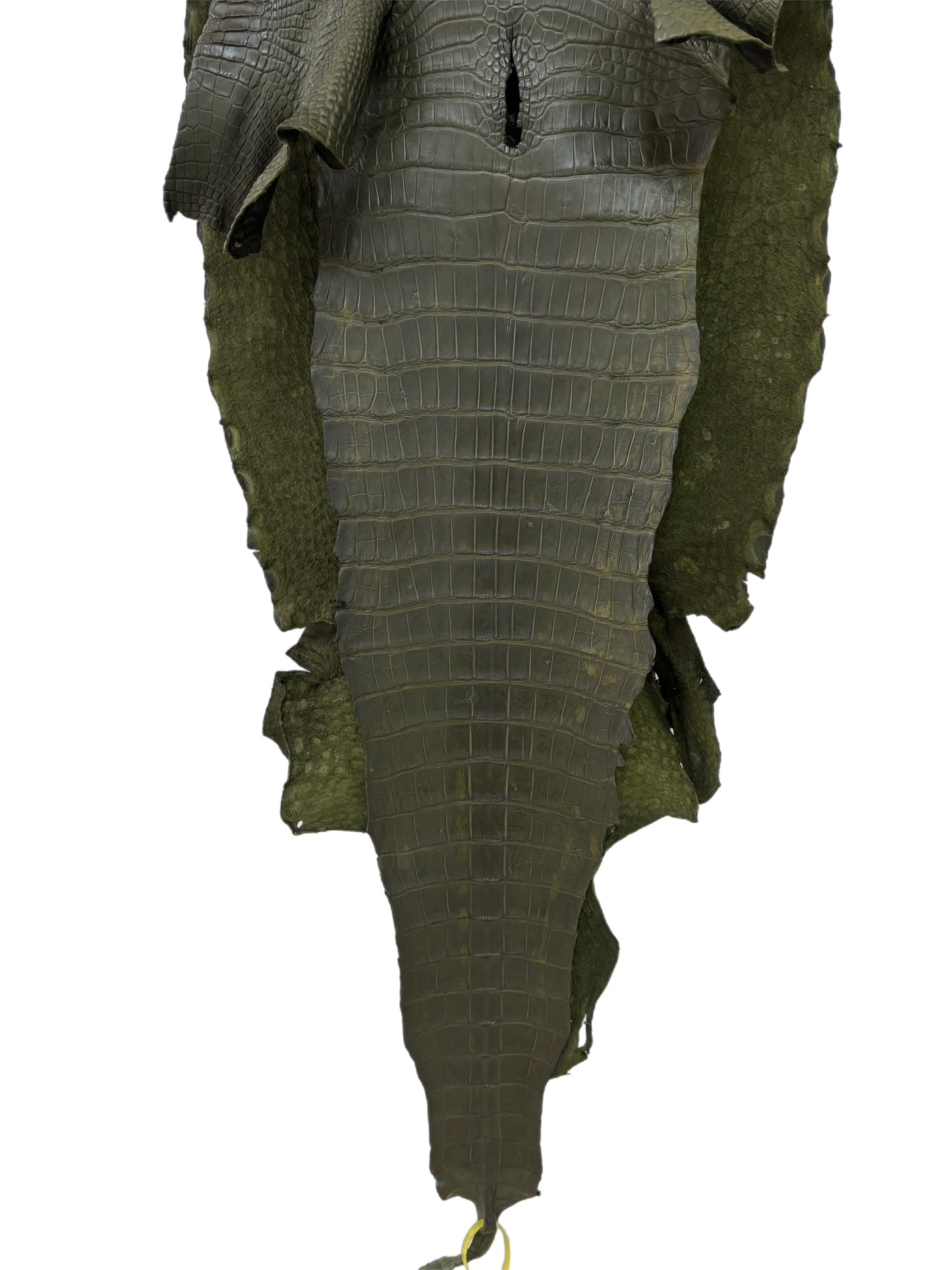 46 cm Grade 4/5 Olive Matte Wild American Alligator Leather - Tag: LA22-0013686