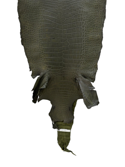 46 cm Grade 4/5 Olive Matte Wild American Alligator Leather - Tag: LA22-0013686