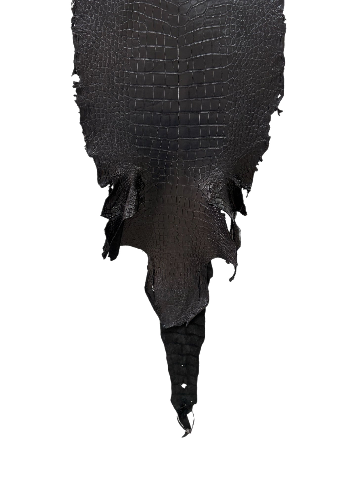 43 cm Grade 3/4 Black Matte Wild American Alligator Leather - Tag: LA23-0027044