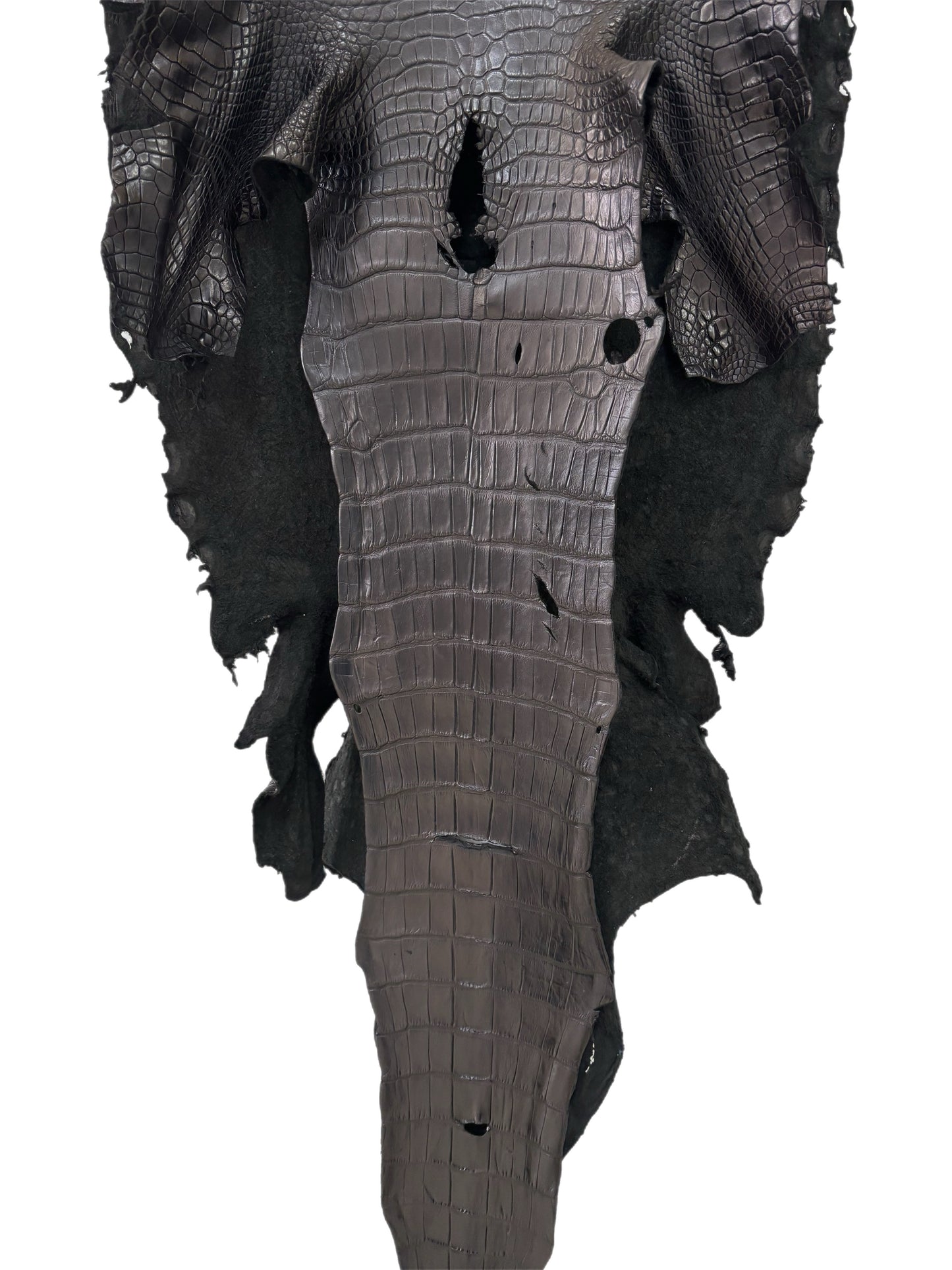43 cm Grade 3/4 Black Matte Wild American Alligator Leather - Tag: LA23-0027044