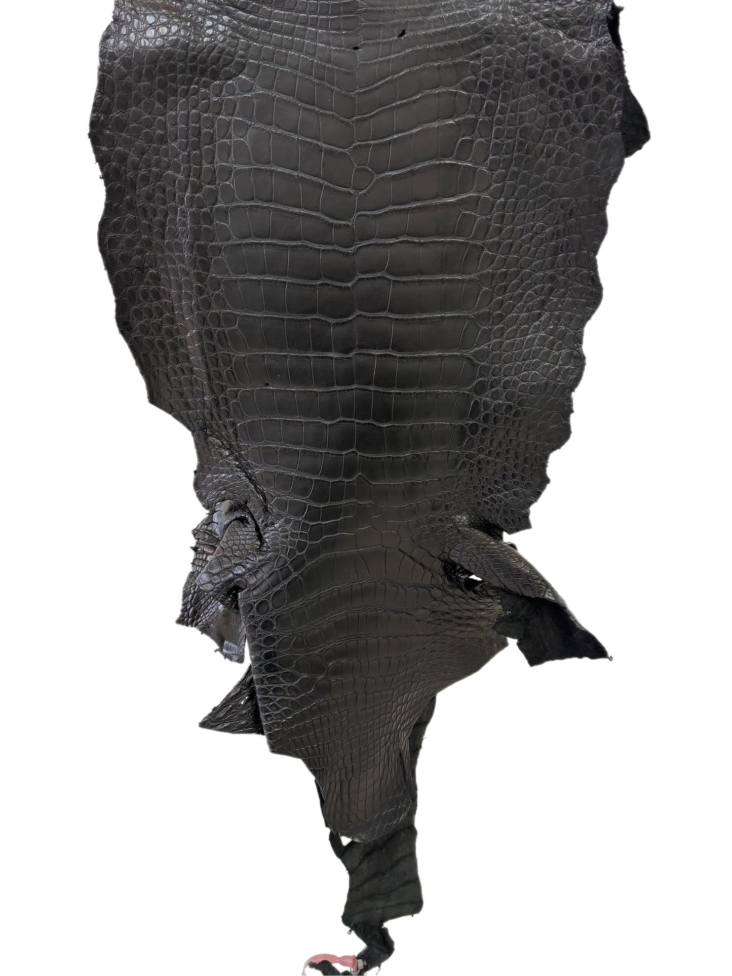 38 cm Grade 3/4 Black Matte Wild American Alligator Leather - Tag: MS24-0000584
