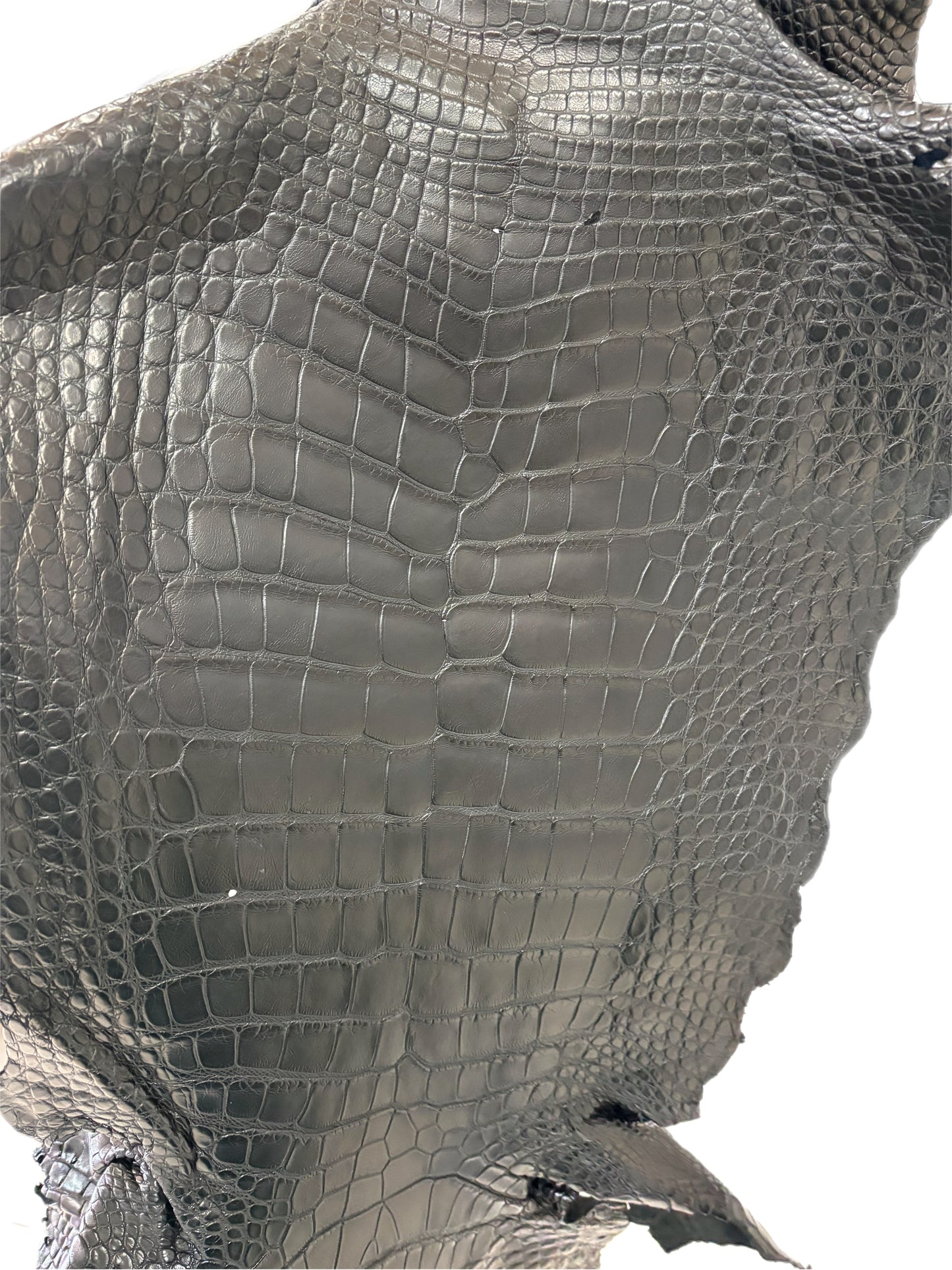 38 cm Grade 3/4 Black Matte Wild American Alligator Leather - Tag: MS24-0000584