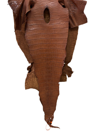 47 cm Grade 4/5 Cigar Matte Wild American Alligator Leather - Tag: LA24-0035700