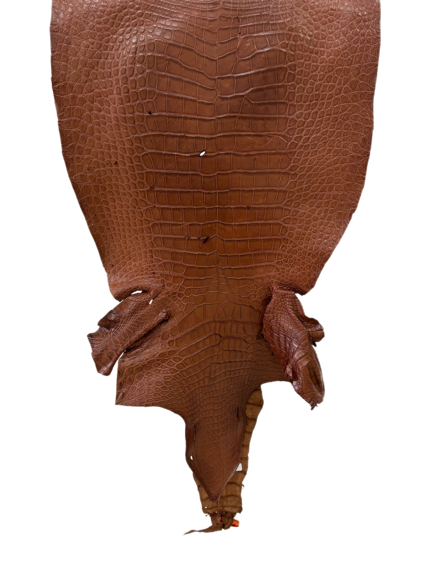 47 cm Grade 4/5 Cigar Matte Wild American Alligator Leather - Tag: LA24-0035700