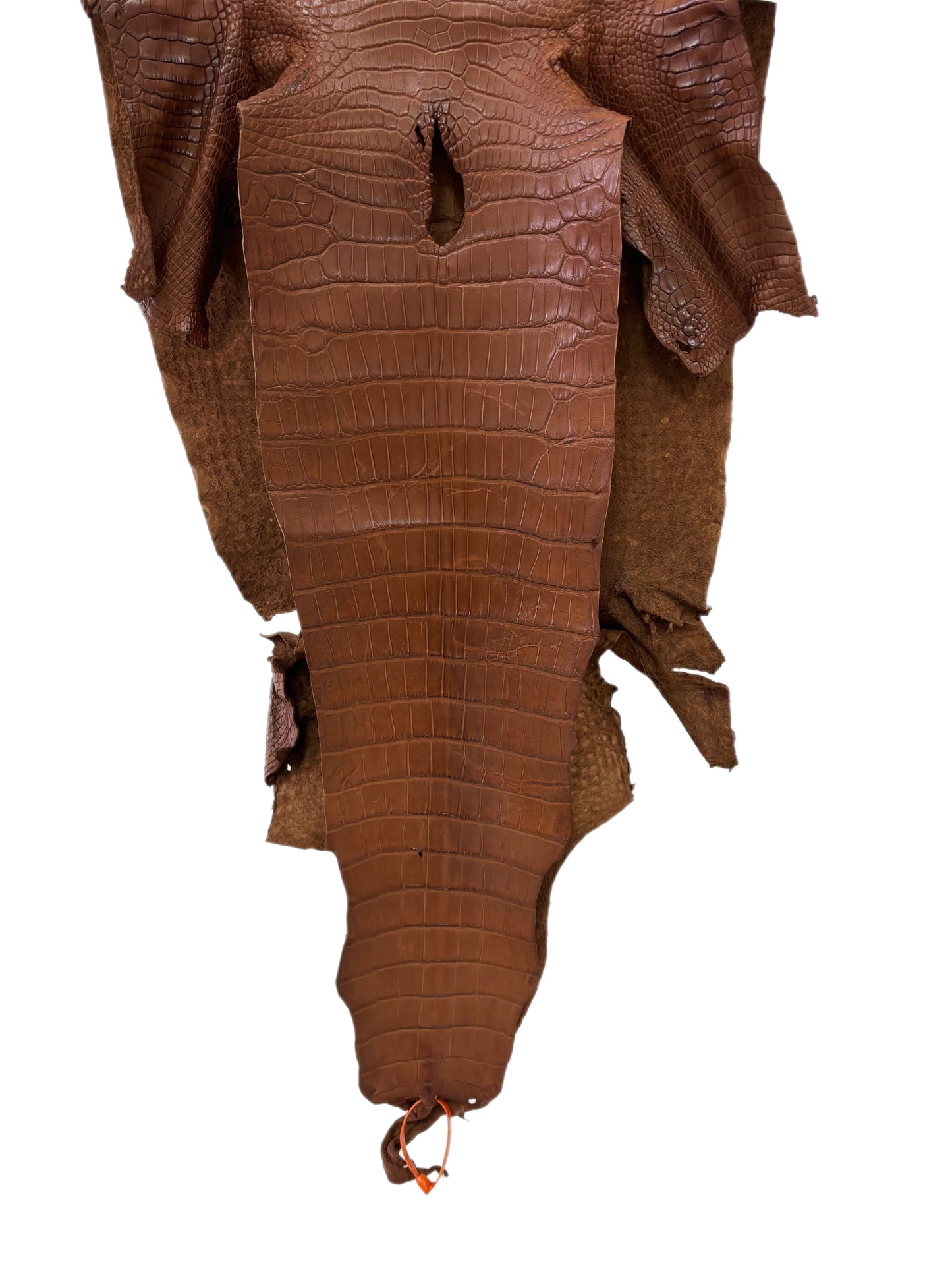 45 cm Grade 2/3 Cigar Matte Wild American Alligator Leather - Tag: LA24-0031655