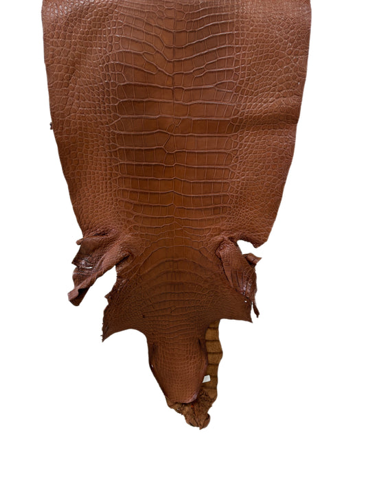 45 cm Grade 2/3 Cigar Matte Wild American Alligator Leather - Tag: LA24-0031655