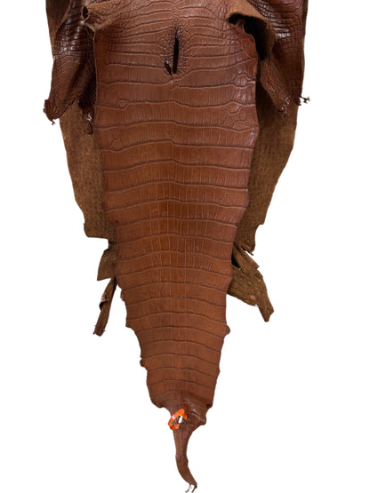 47 cm Grade 3/4 Cigar Matte Wild American Alligator Leather - Tag: LA24-0041854