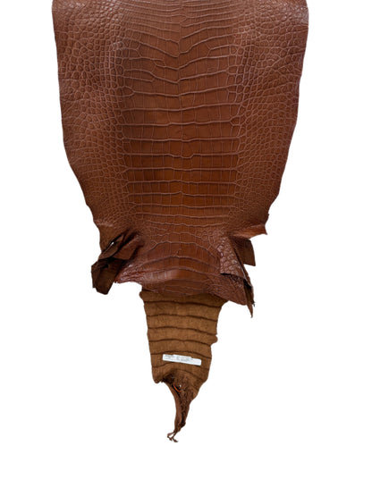 47 cm Grade 3/4 Cigar Matte Wild American Alligator Leather - Tag: LA24-0041854