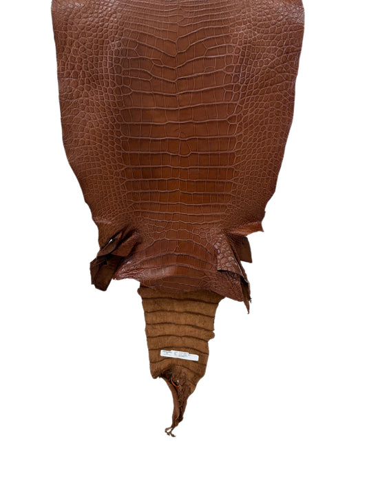 47 cm Grade 3/4 Cigar Matte Wild American Alligator Leather - Tag: LA24-0041854