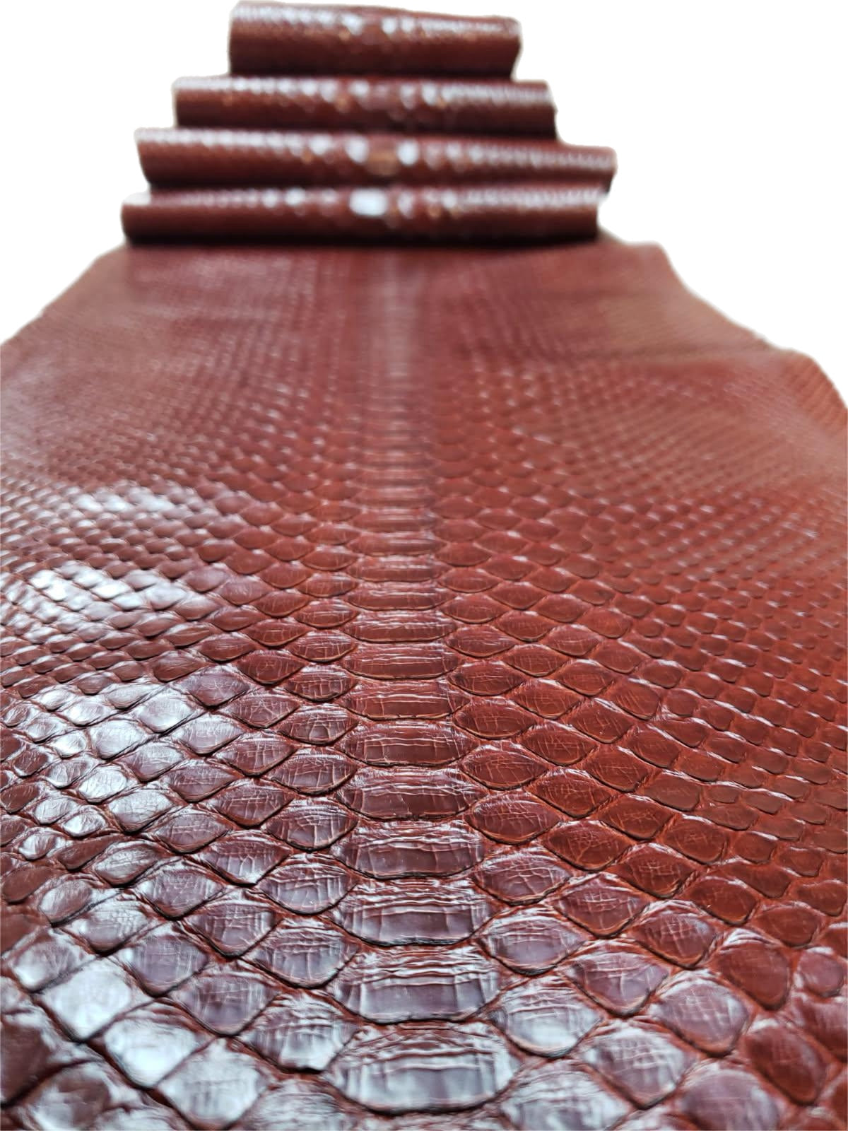 1.8 M Back Cut Bourbon Glazed Python Leather