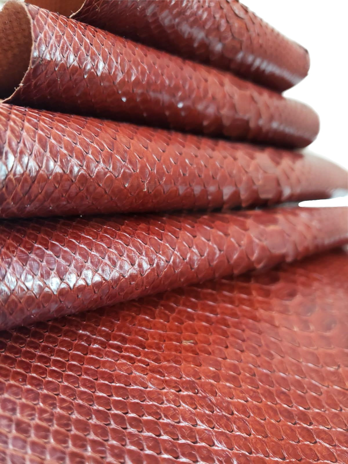 1.8 M Back Cut Bourbon Glazed Python Leather