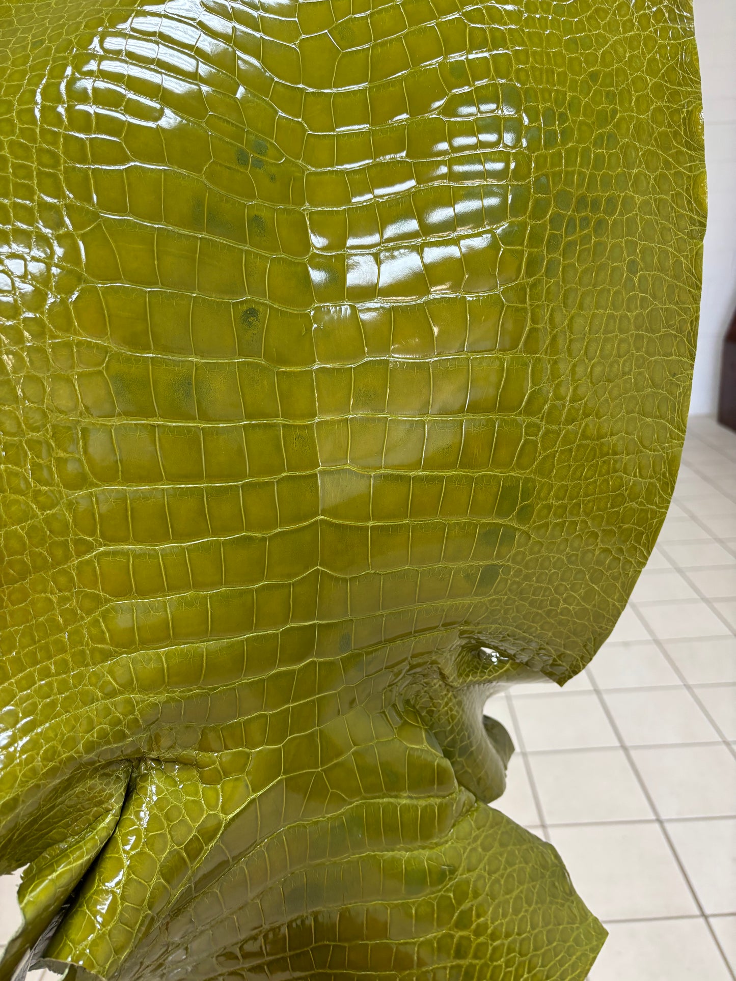 CLOSEOUT | 38 cm Grade 3/4 Muguet Glazed Wild American Alligator Leather - Tag: CCIT-0539923