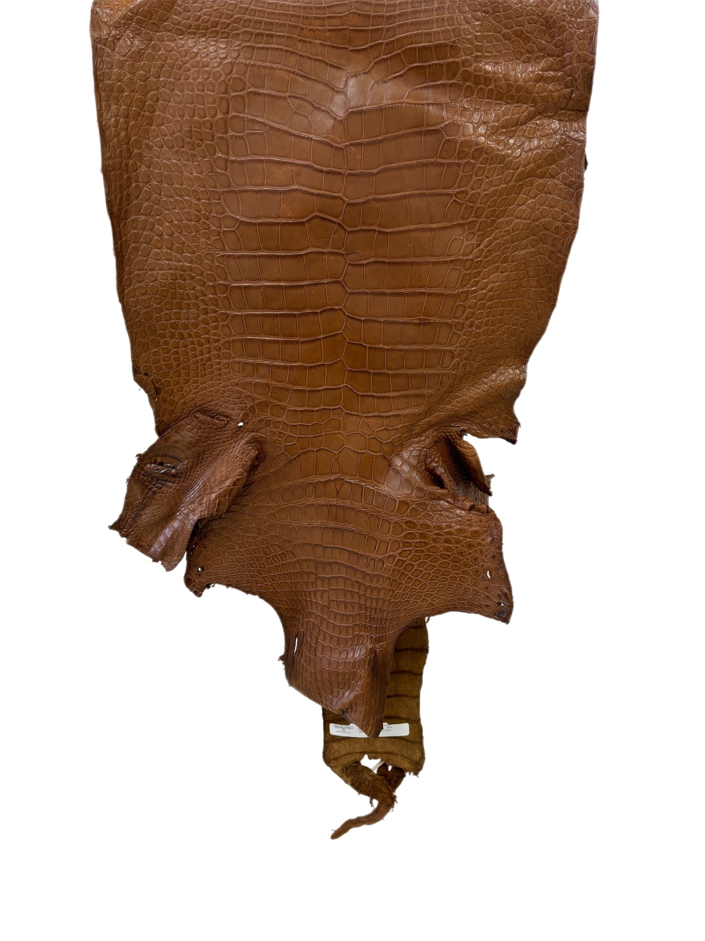 45 cm Grade 3/4 Kango Tabac Matte Wild American Alligator Leather - Tag: LA23-0040478