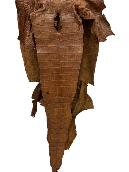39 cm Grade 3/4 Kango Tabac Matte Wild American Alligator Leather - Tag: LA23-0002813