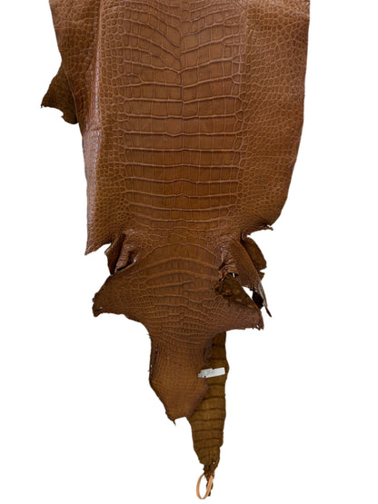 39 cm Grade 3/4 Kango Tabac Matte Wild American Alligator Leather - Tag: LA23-0002813