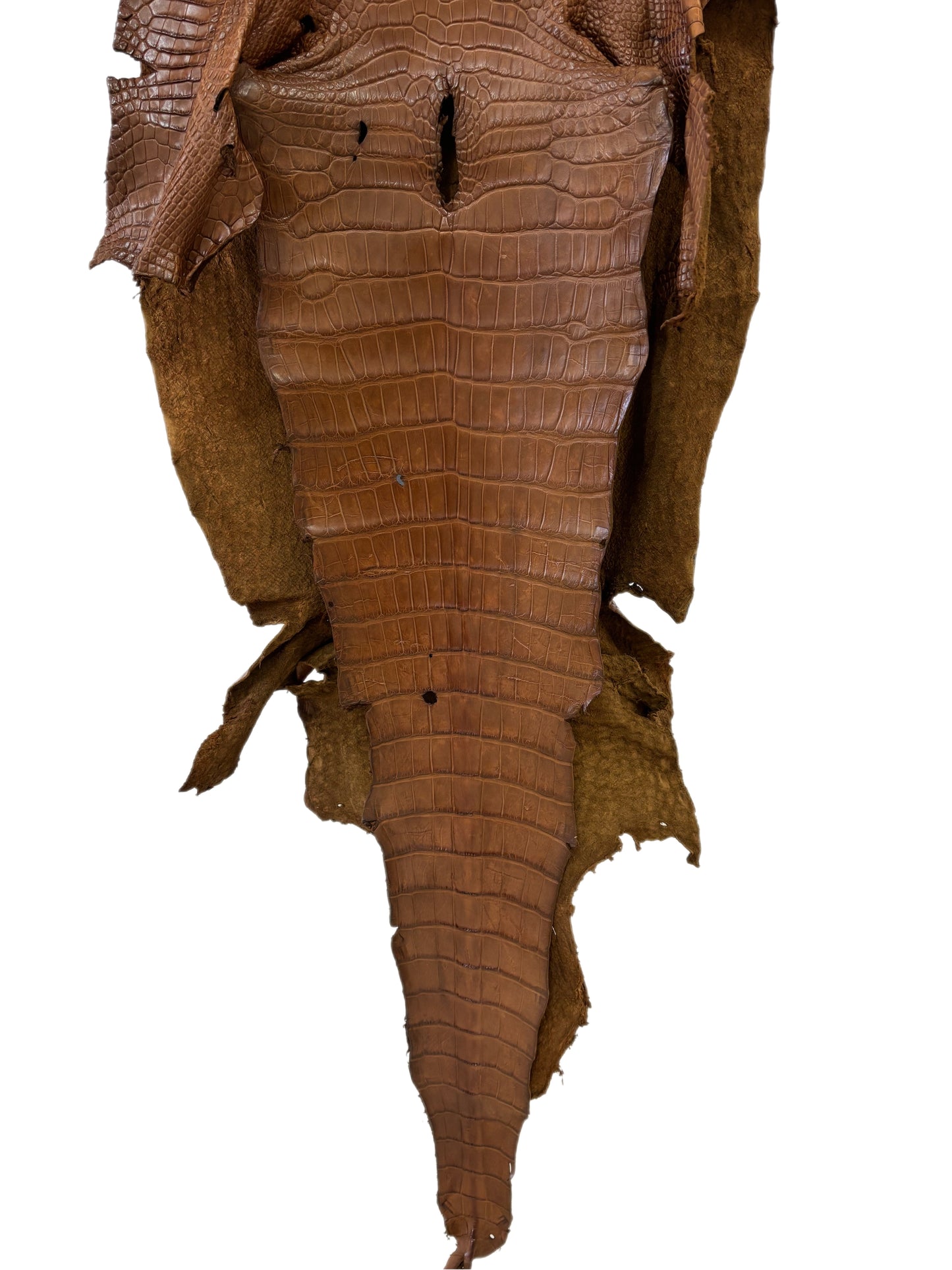 46 cm Grade 3/4 Kango Tabac Matte Wild American Alligator Leather - Tag: LA23-0022887